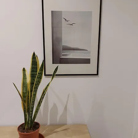 Apartamento Da Ale House Roma